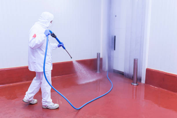Paint Preparation in Beaver, UT