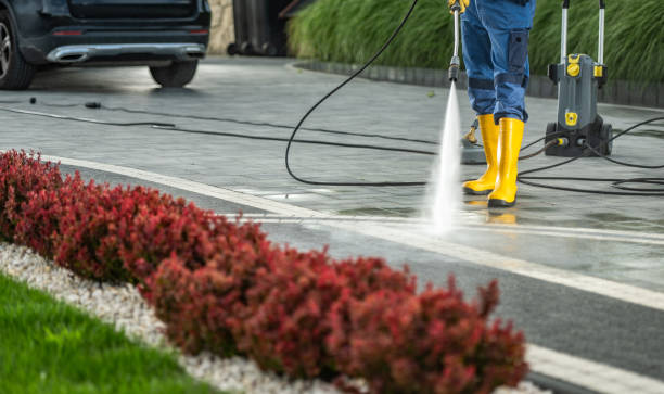 Animal Enclosure Cleaning in Beaver, UT